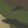 80