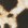 80
