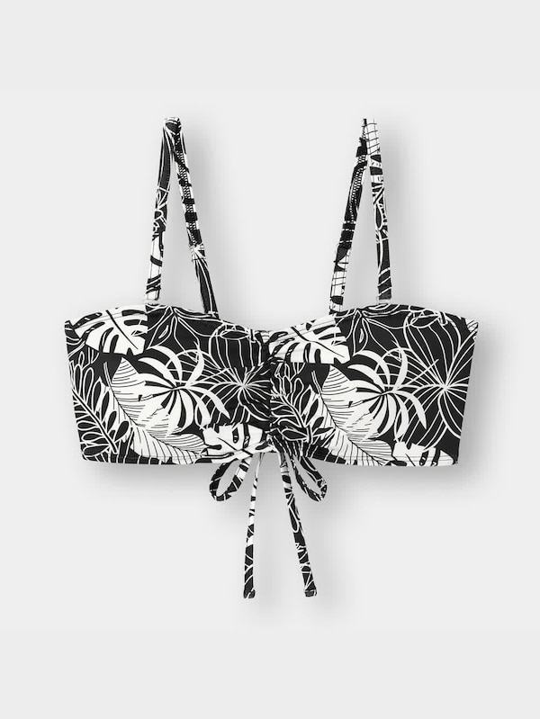 スイムブラC GA+X(セットアップ可能)