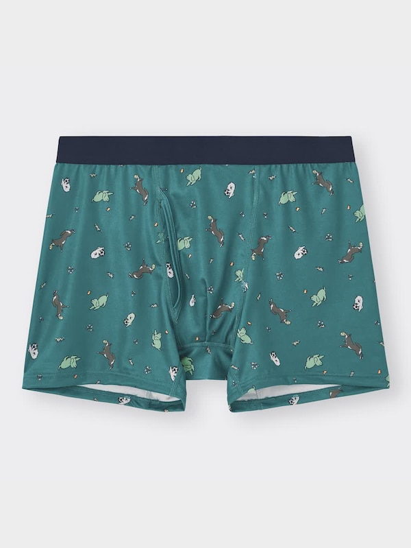 ドライボクサーパンツ(レギュラーライズ)(イヌ)