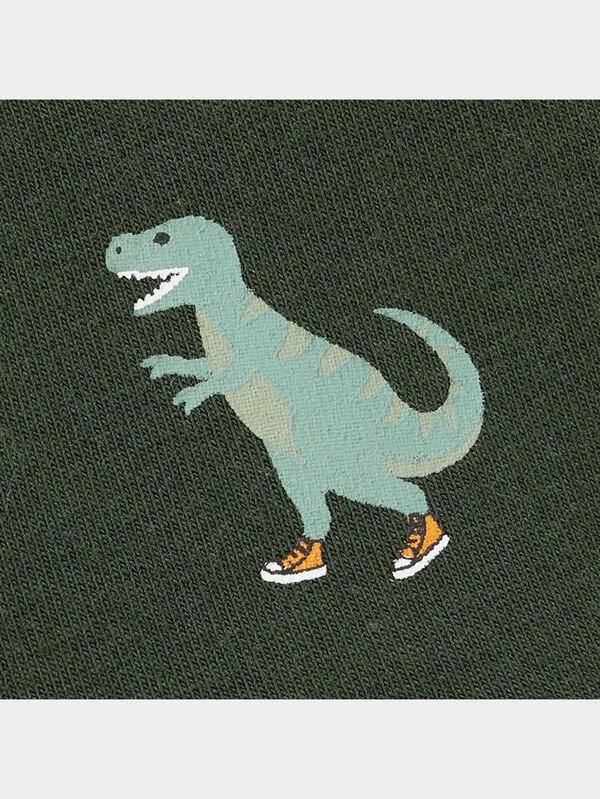 BOYSボクサーパンツ2P(ダイナソー)