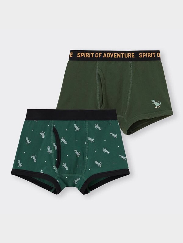 BOYSボクサーパンツ2P(ダイナソー)