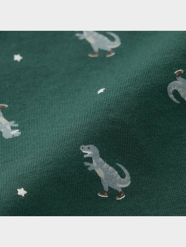 BOYSボクサーパンツ2P(ダイナソー)