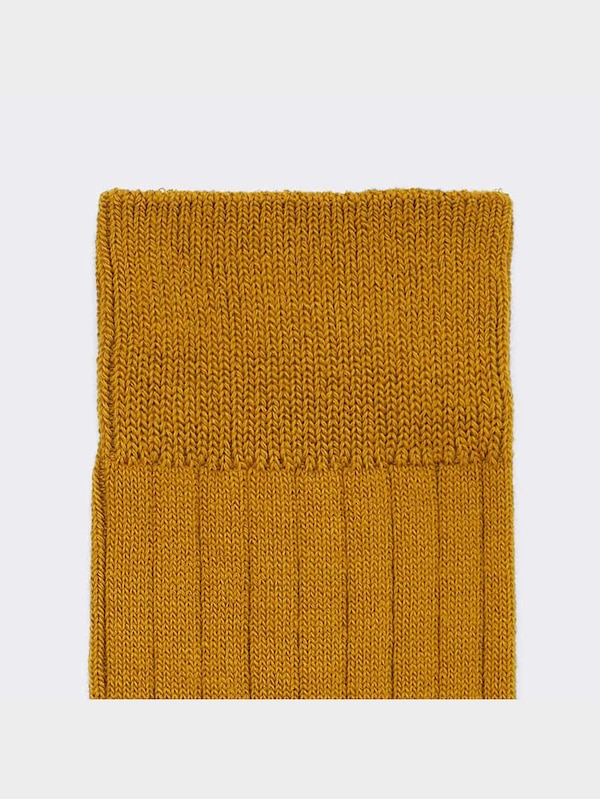 レギュラーソックス(カラーリブ)