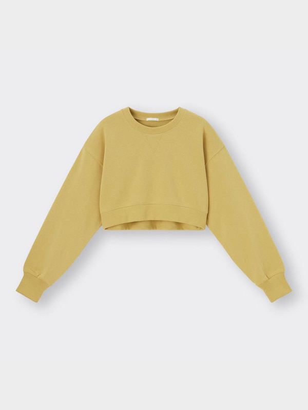 スウェットクロップドプルオーバー(長袖)+E