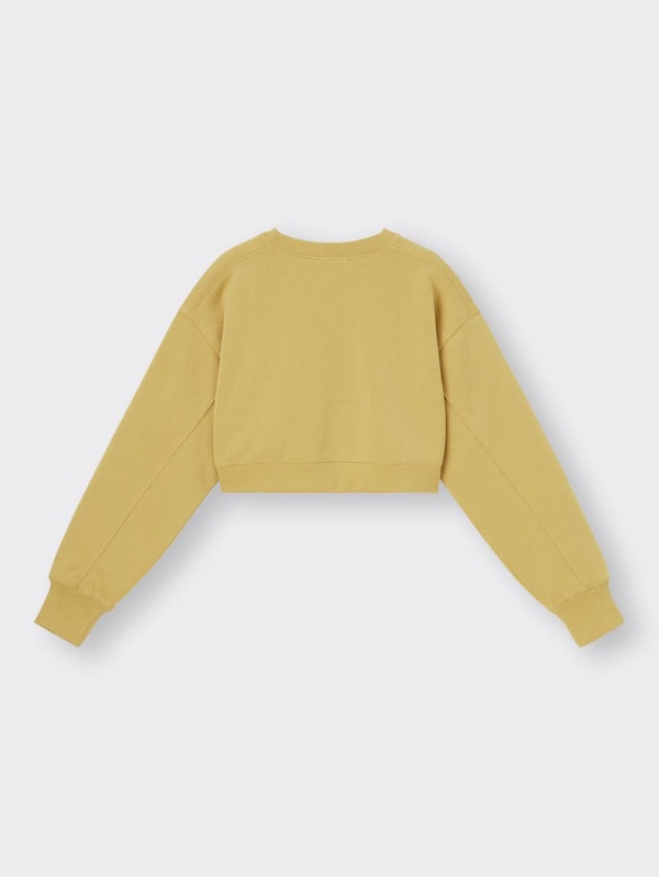 スウェットクロップドプルオーバー(長袖)+E