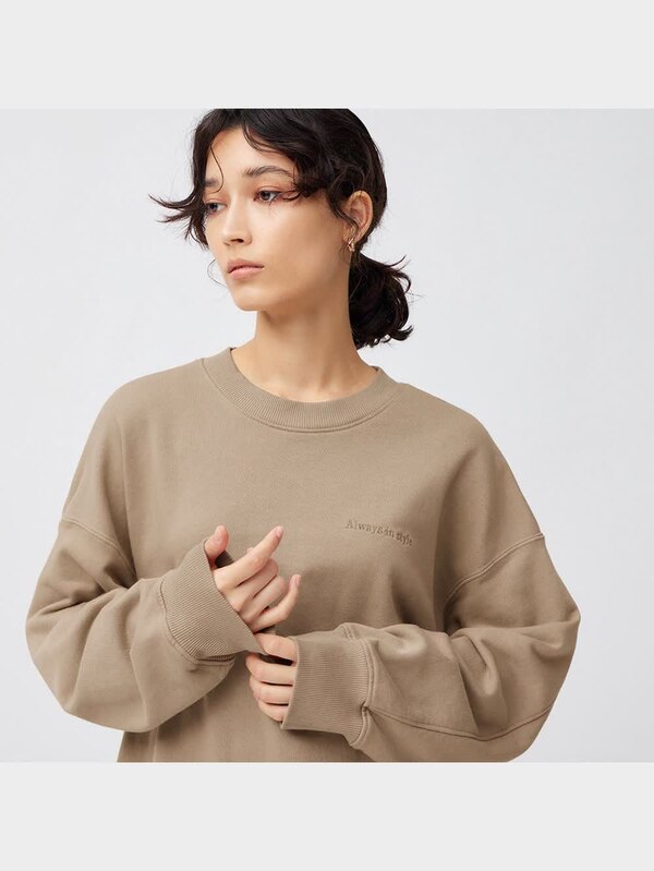 ウォッシュドロゴスウェットプルオーバー(長袖)+E