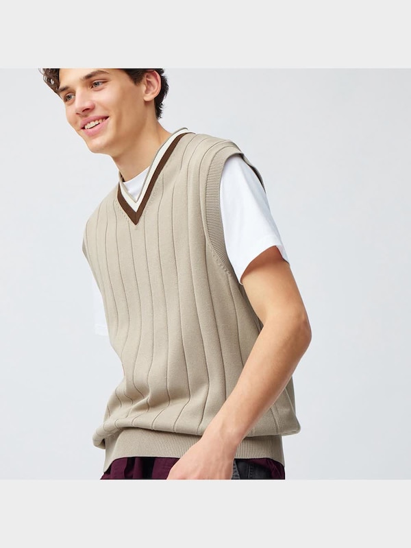 チルデンニットベスト