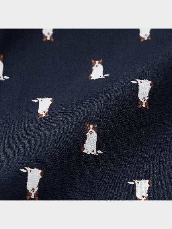 布帛トランクス(ドッグ)+X