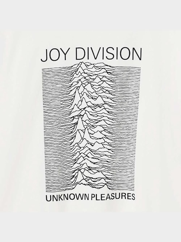 グラフィックT(長袖) Joy Division