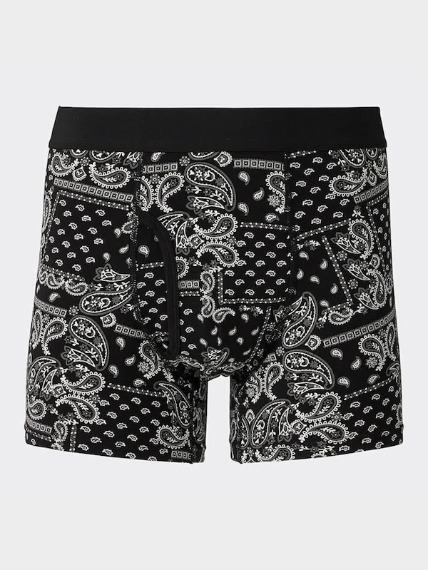 ボクサーパンツ(レギュラーライズ)(ペイズリー)