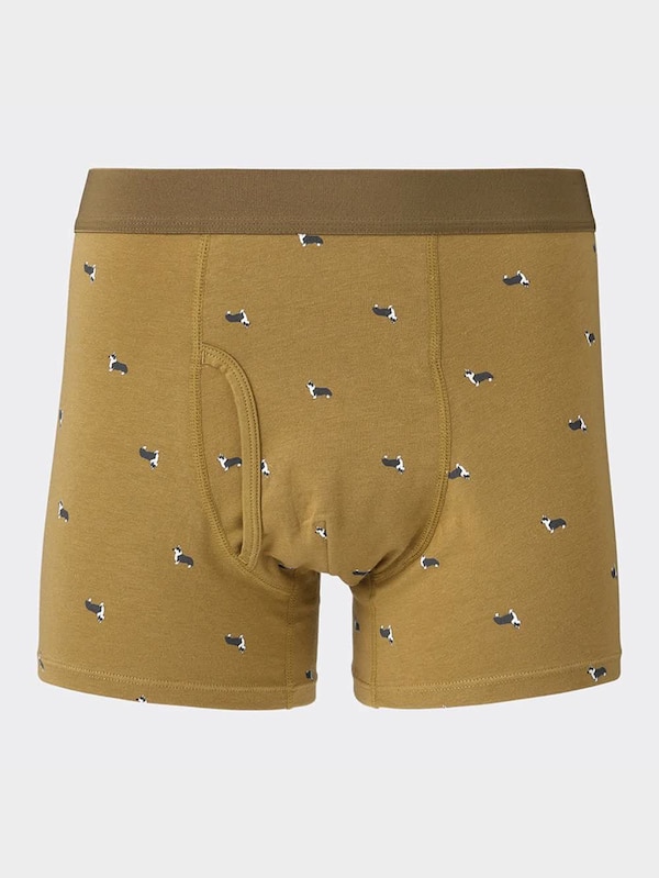 ボクサーパンツ(レギュラーライズ)(ドッグ)