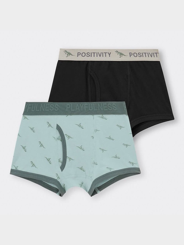 BOYSボクサーパンツ2P(ダイナソー)