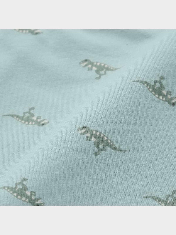 BOYSボクサーパンツ2P(ダイナソー)