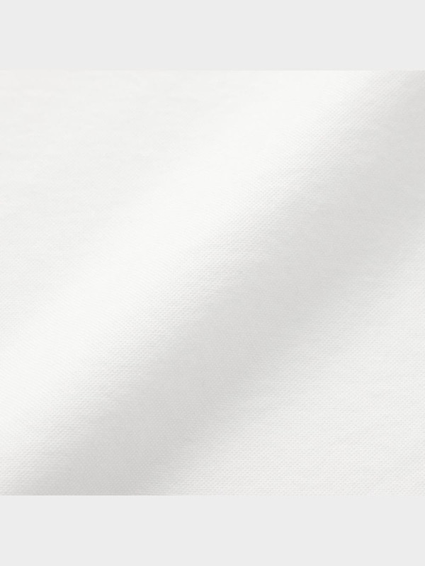 スーパービッグオックスフォードシャツ(長袖)NT+E