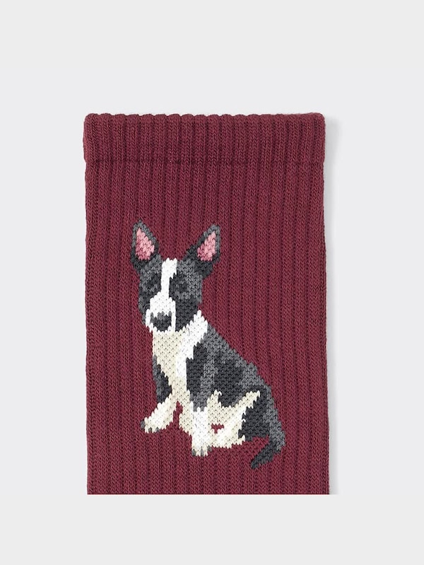 スタイルヒートレギュラーソックス(ドッグ)+E