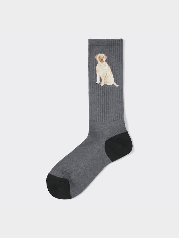 スタイルヒートレギュラーソックス(ドッグ)+E