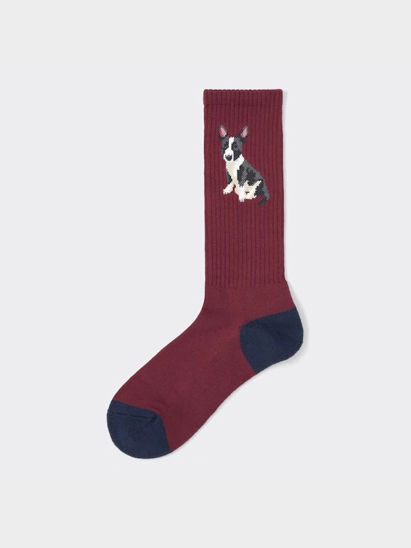 スタイルヒート レギュラーソックス(ドッグ)+E