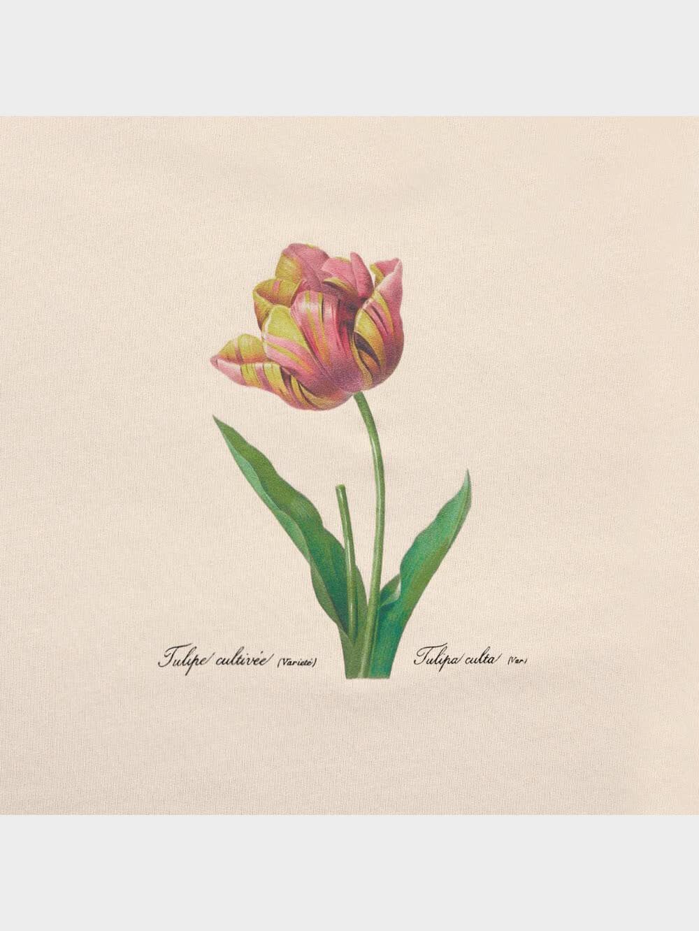 GU公式 | ラウンジセット(長袖&ロングパンツ) New York