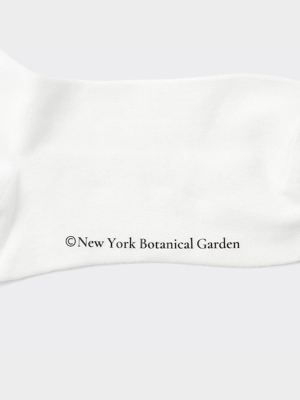 ソックス New York Botanical Garden