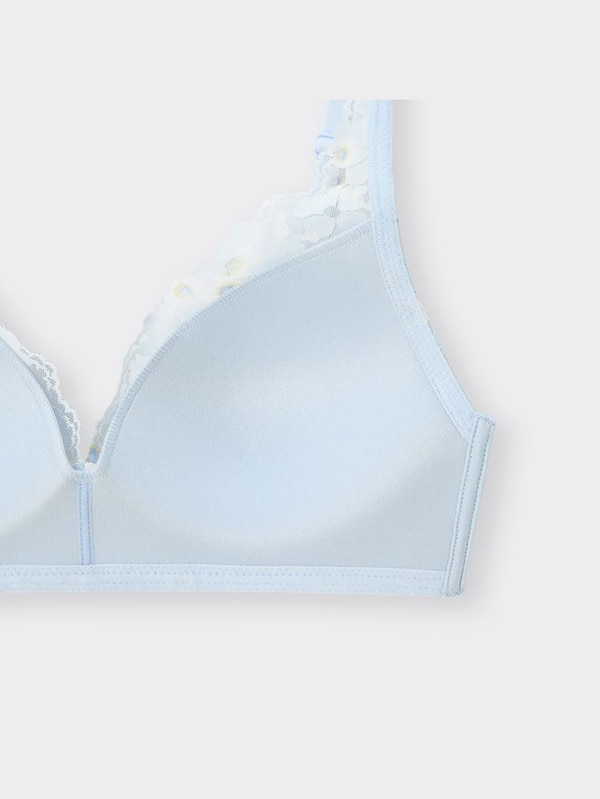 ソフトプランジブラ New York Botanical Garden