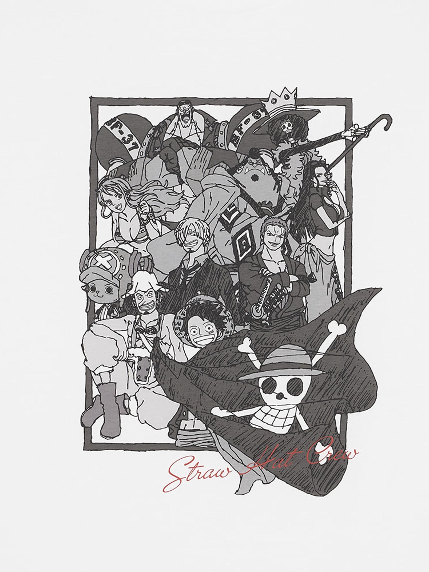 ONE PIECE  ワンピース pari_bentham_REUNION@《パリっとONEPIECE》 (@pari_bensam) / X