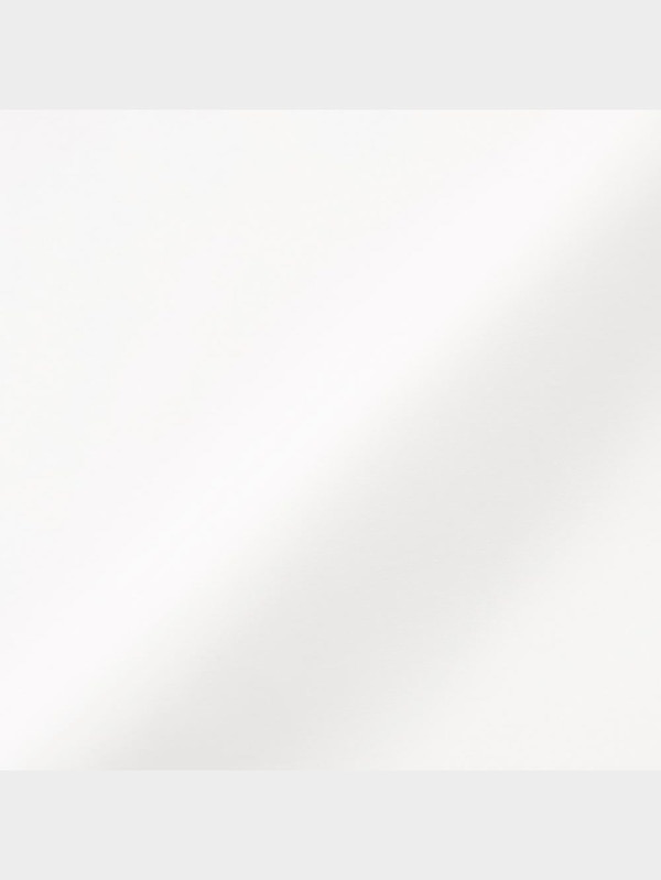 レースコンビネーションブラウス(長袖)Z+E