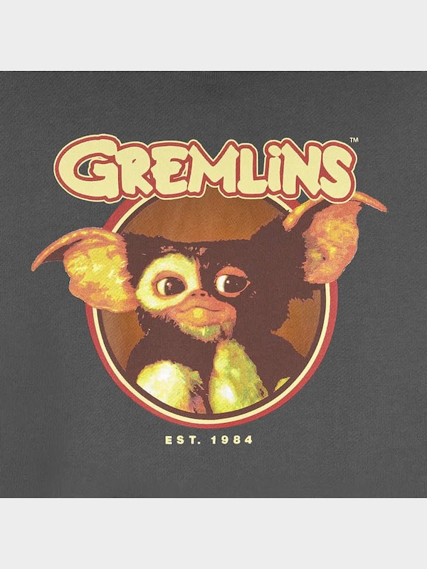 スウェットプルパーカ(長袖) GREMLINS