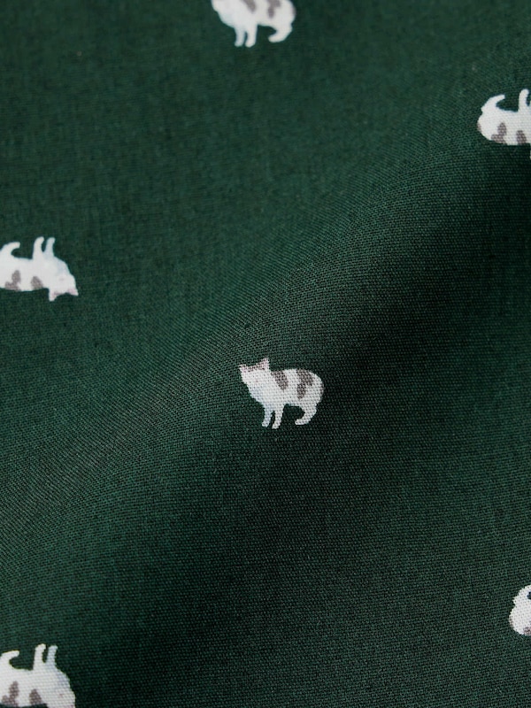 布帛トランクス(キャット)+X