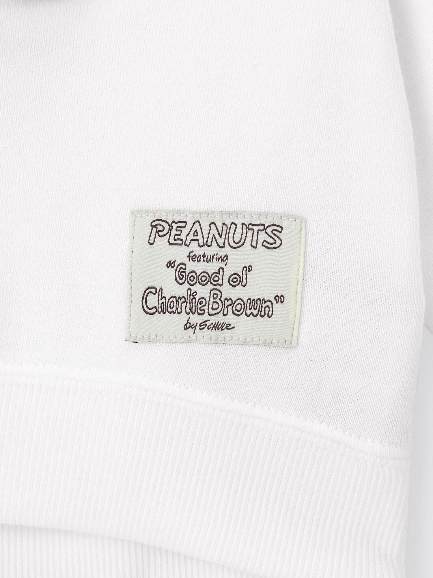 ユーカリオリーブ 観葉植物 ユーカリ 8号 グニー バスク キューブ 付き | 観葉植物