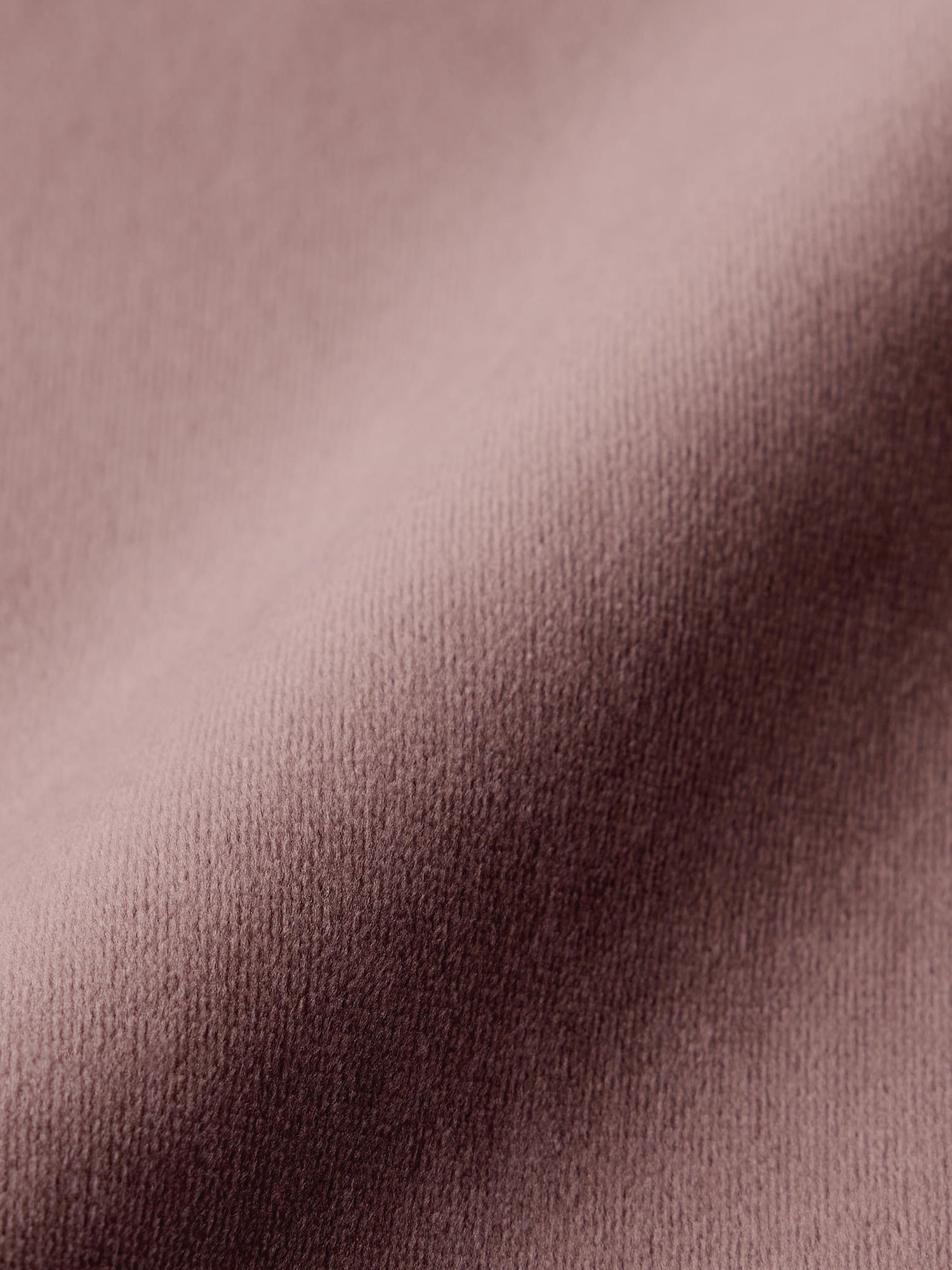 はっぴー GU公式 | ベロアサイドラインプルオンパンツ(セットアップ可能)