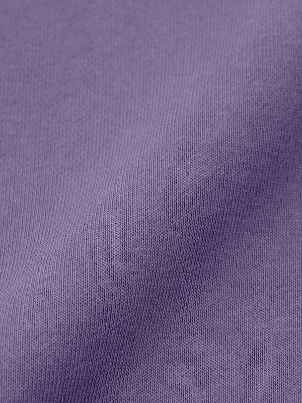 ヘビーウェイトスウェットスタンドカラープルオーバー(セットアップ可能)