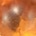 default image