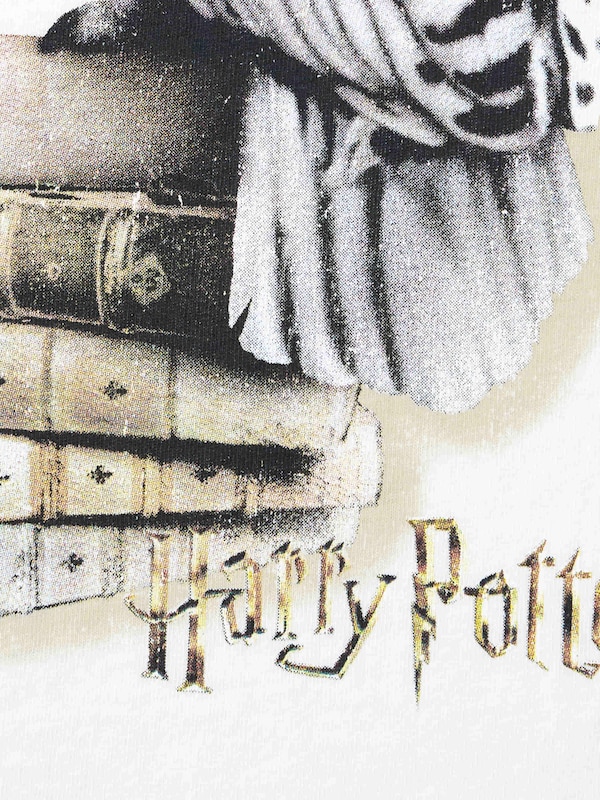 ウォッシュドグラフィックT Harry Potter