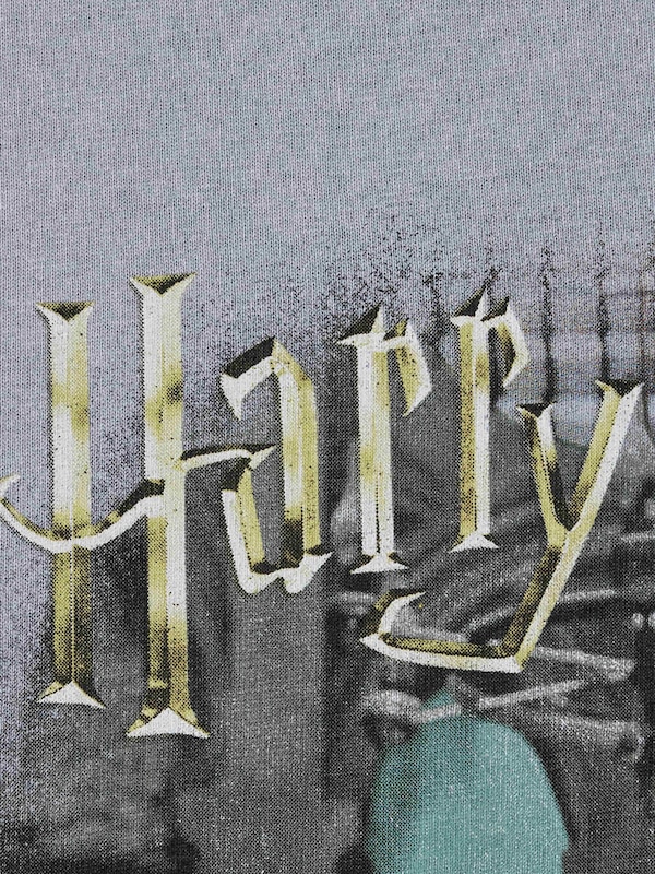 ウォッシュドグラフィックT Harry Potter