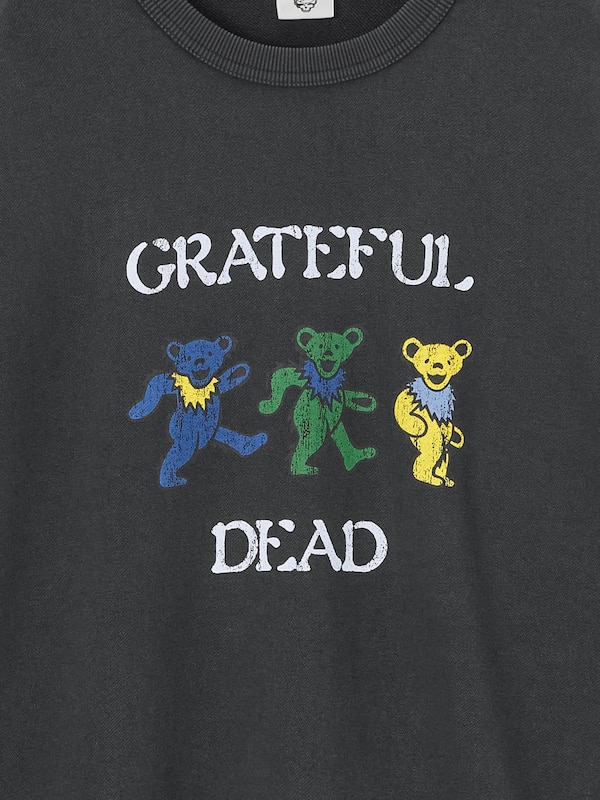 ウォッシュドスウェットプルオーバー Grateful Dead