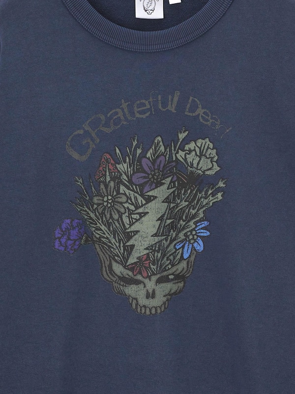 ウォッシュドスウェットプルオーバー Grateful Dead