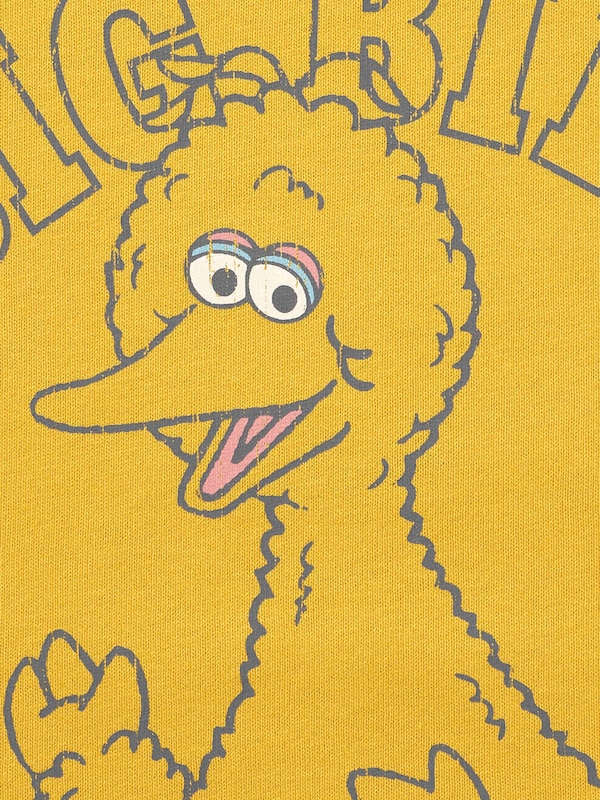 KIDS(男女兼用)スウェT Sesame Street