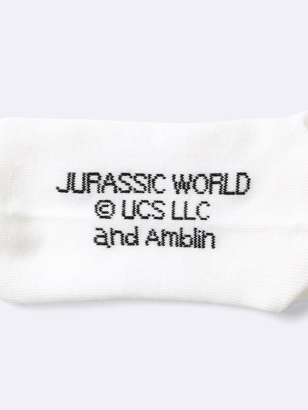 KIDS(男女兼用)ソックス JURASSIC WORLD