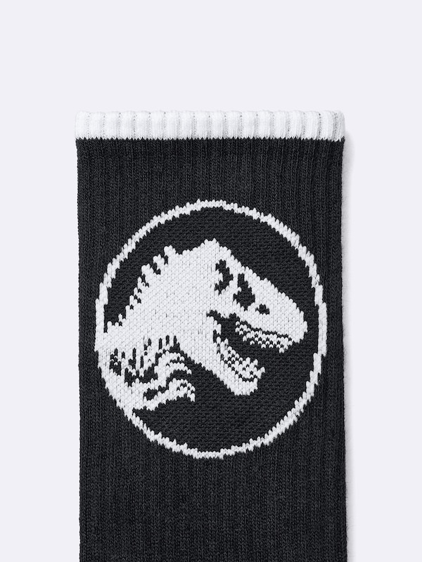 KIDS(男女兼用)ソックス JURASSIC WORLD