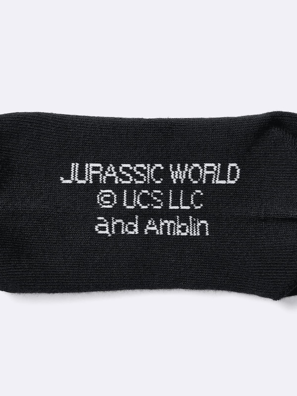 KIDS(男女兼用)ソックス JURASSIC WORLD