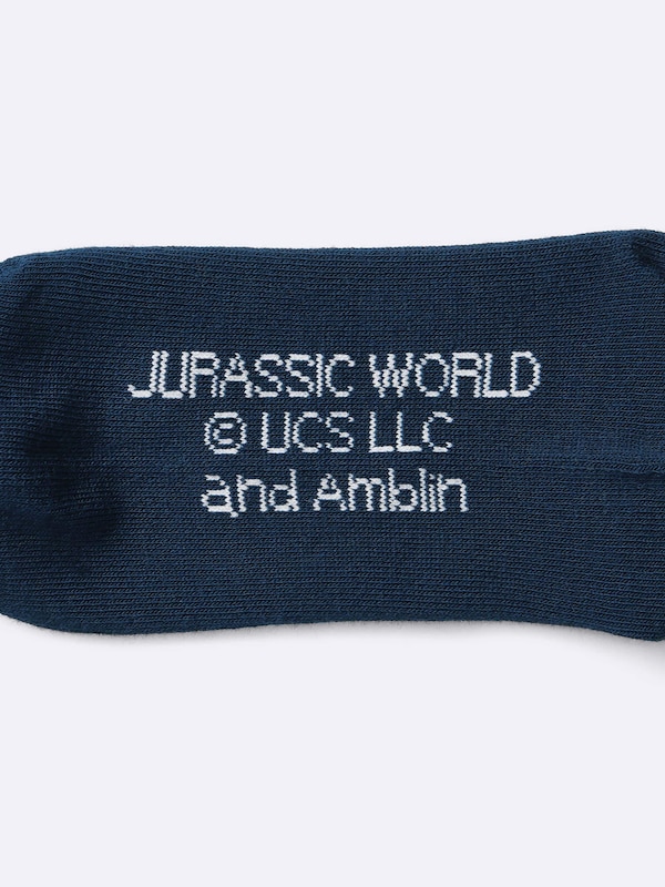 KIDS(男女兼用)ソックス JURASSIC WORLD