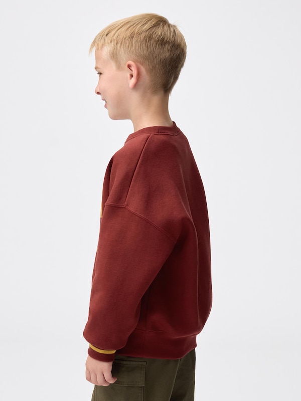 KIDS(男女兼用)ヘビーウェイトスウェットプルオーバー Harry Potter