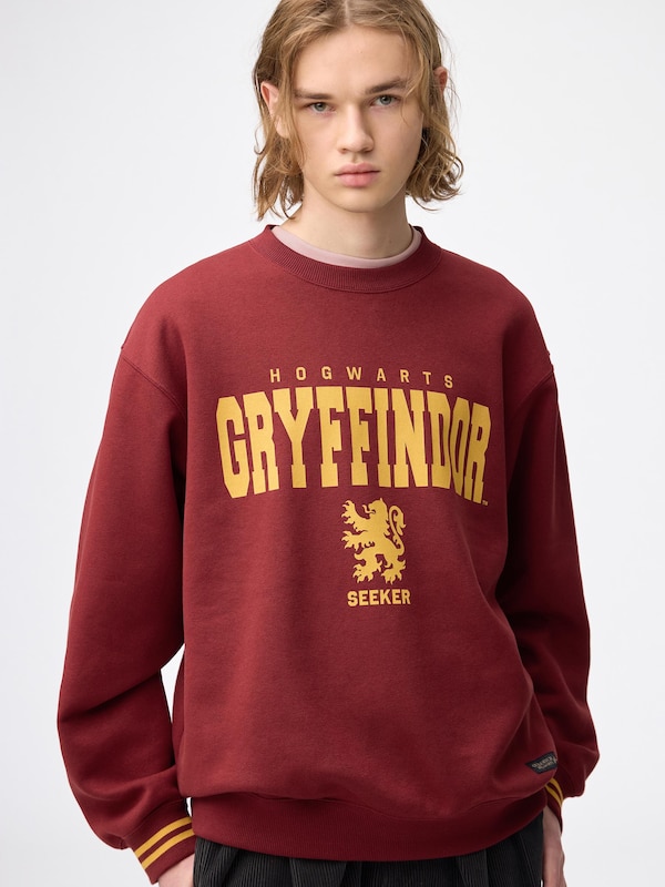 ヘビーウェイトスウェットプルオーバー Harry Potter