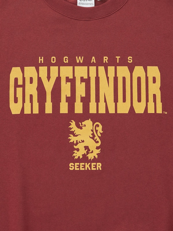 ヘビーウェイトスウェットプルオーバー Harry Potter