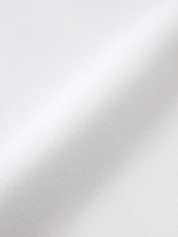 ヘビーウェイトスウェットプルオーバー Ford