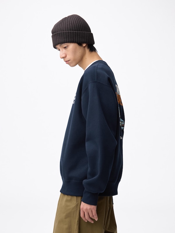 ヘビーウェイトスウェットプルオーバー Ford