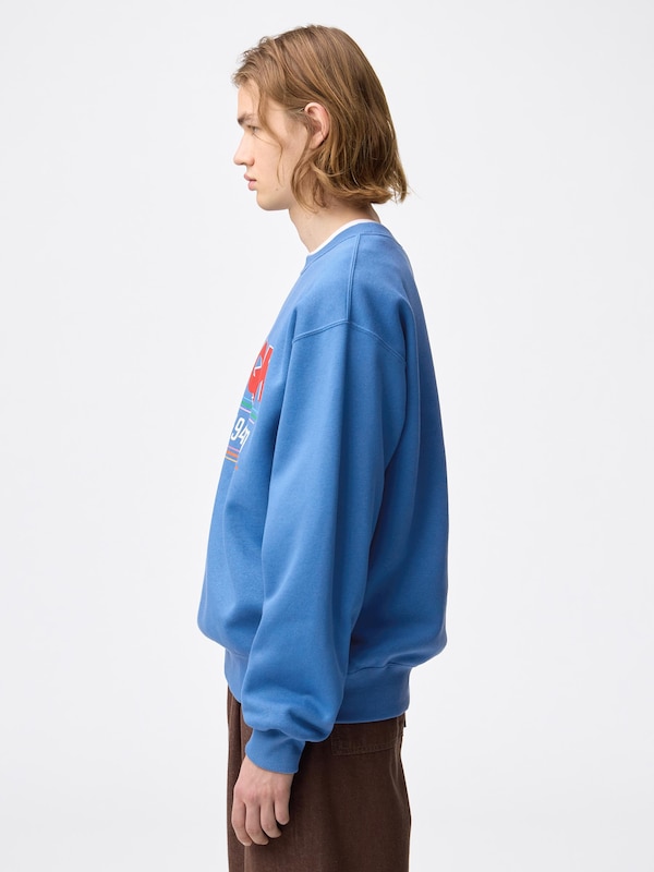 ヘビーウェイトスウェットプルオーバー ストレンジャー・シングス 未知の世界