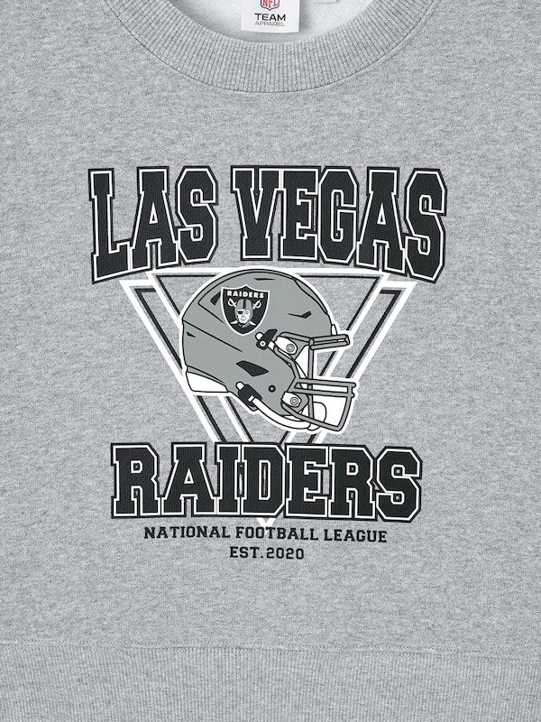 ヘビーウェイトスウェットプルオーバー NFL/ラスベガス・レイダース
