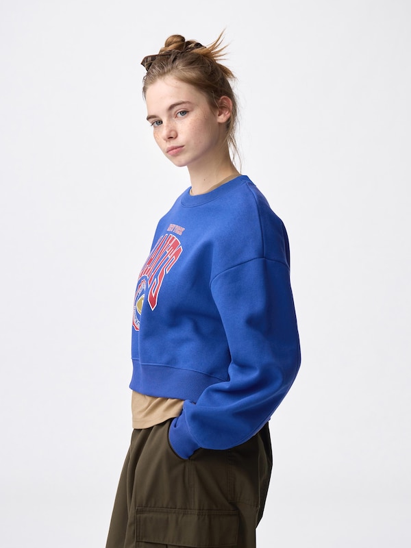 ヘビーウェイトスウェットプルオーバー NFL/ニューヨーク・ジャイアンツ